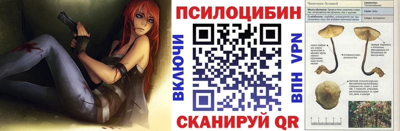 Купить где  Котовск  Галлюциногенные грибы Psilocybe 